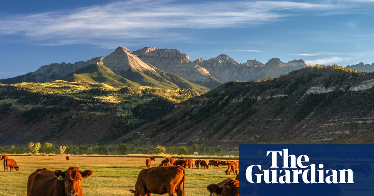 Are Australians about to see US beef on supermarket shelves? And why is Donald Trump celebrating? | Australian foreign policy