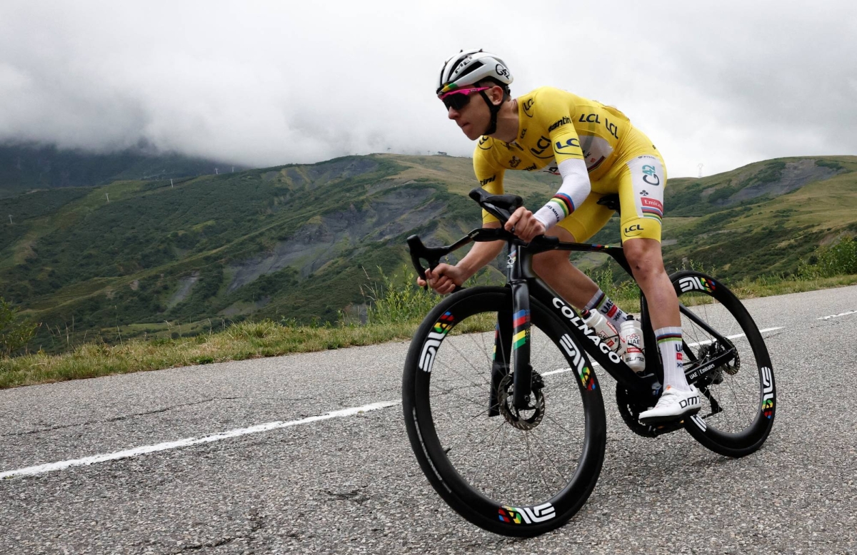 Tour de France stage shortened due to infected cattle