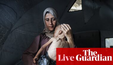 Mass starvation spreading across Gaza, aid agencies warn, as pressure on Israel grows – Middle East crisis live | Middle East and north Africa