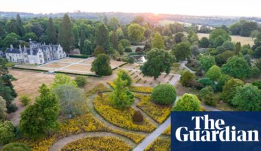 Gardens for the future: UK landscapers switch to drought-resistant planting as climate changes | Plants