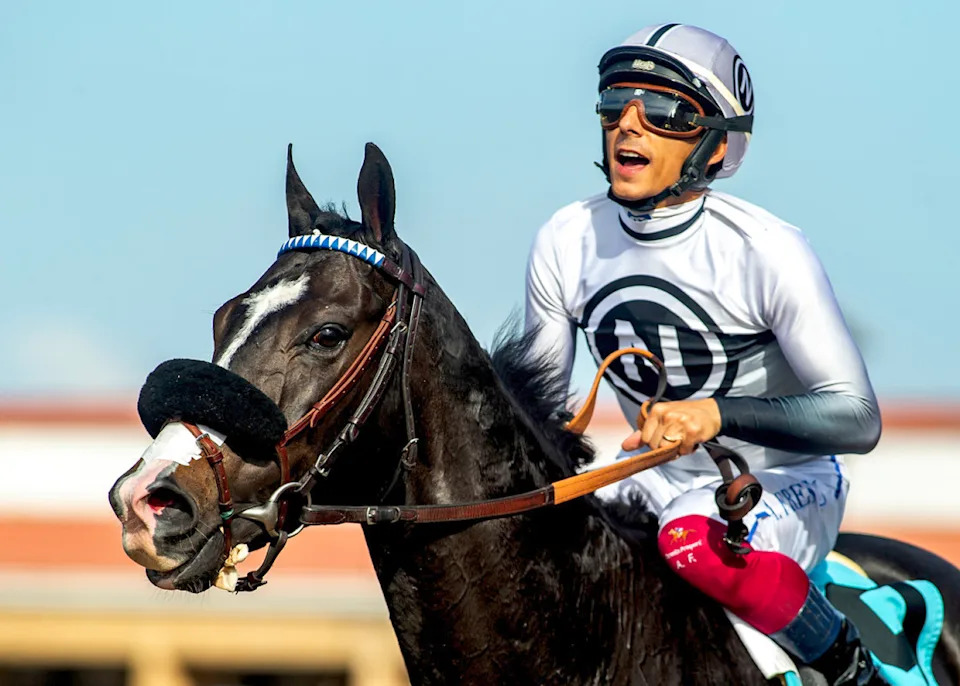 Almendares and jockey Antonio Fresu after the WickerrBenoit photo