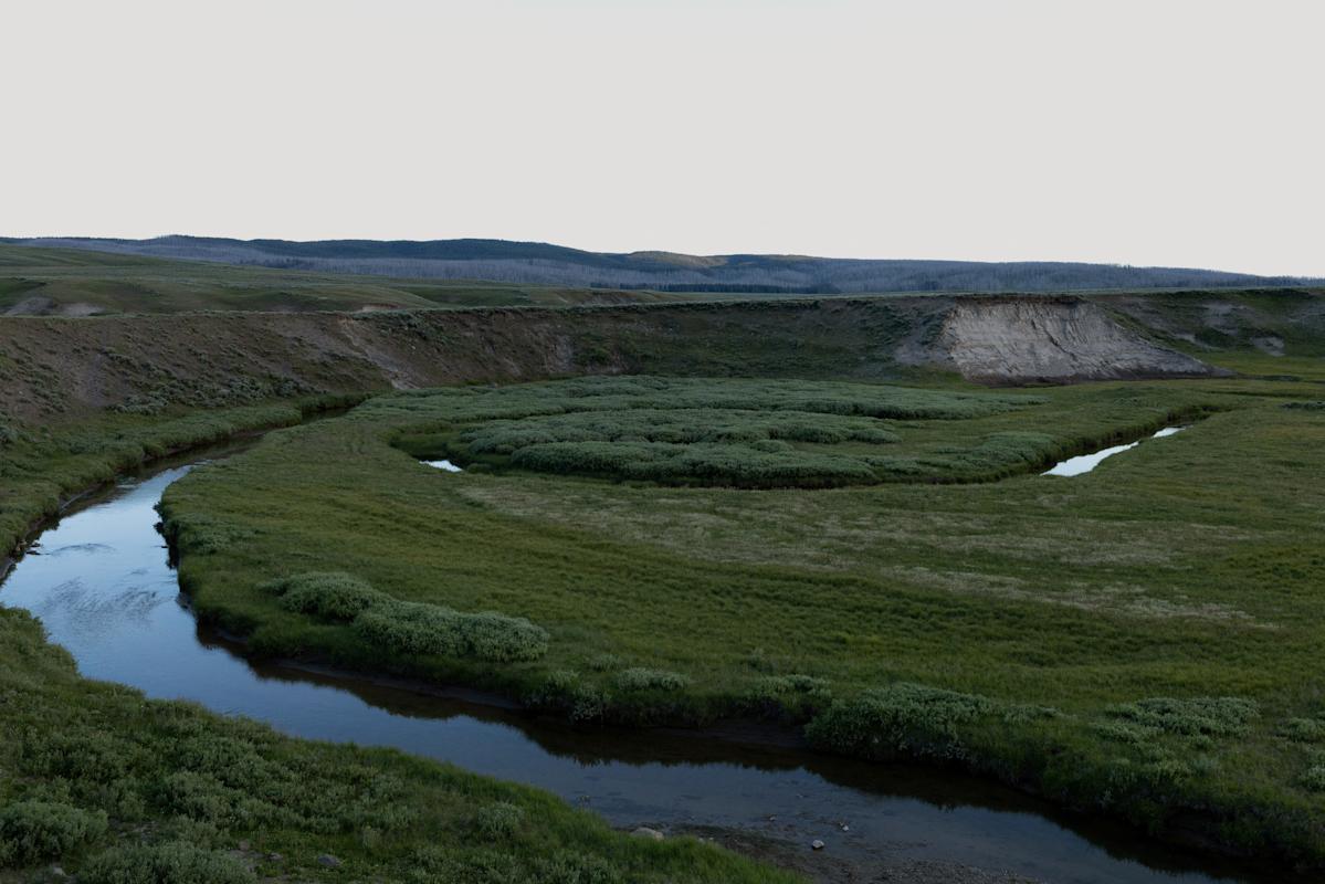 Yellowstone officials shut down rumors of animals leaving due to possible volcanic eruption