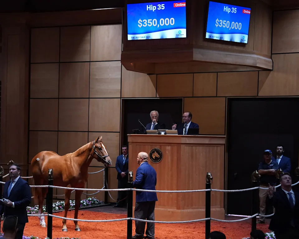 Hip 35, a Jack Christopher colt, topped the 2025 Fasig-Tipton July Yearling Sale at $350,000Fasig-Tipton Photo