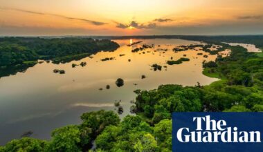 EU may allow carbon credits from developing countries to count towards climate goals | Carbon offsetting