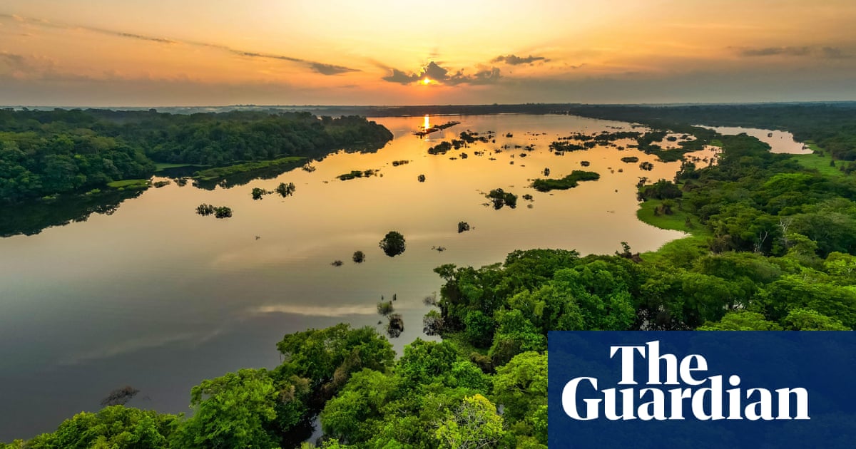 EU may allow carbon credits from developing countries to count towards climate goals | Carbon offsetting