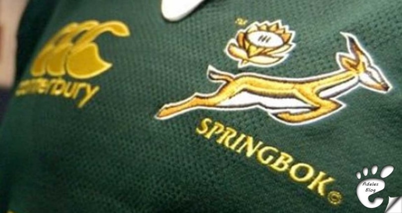 World Rugby has banned FOUR countries from playing at the Rugby World Cup - Page 2 of 3