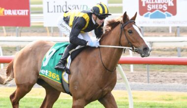 Mick Price expects impressive debut winner to get Job Done again at Flemington