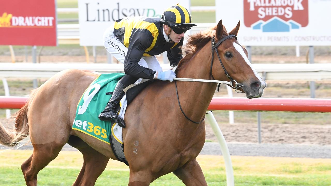Mick Price expects impressive debut winner to get Job Done again at Flemington