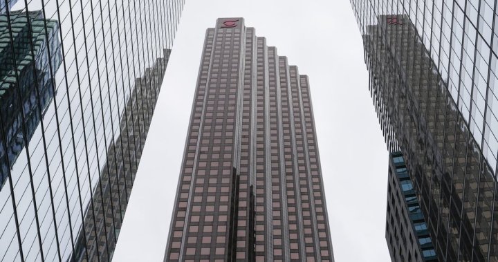 What Canadians’ options are as companies push a return to office - National