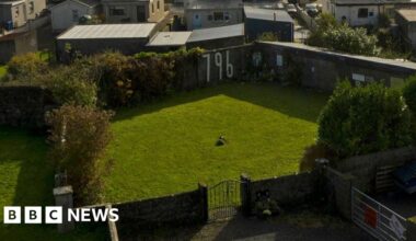 How hundreds of babies and toddlers came to be buried in an unmarked mass grave