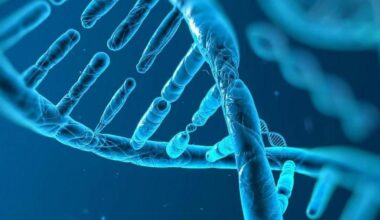 Researchers develop tool to improve genetic predictions