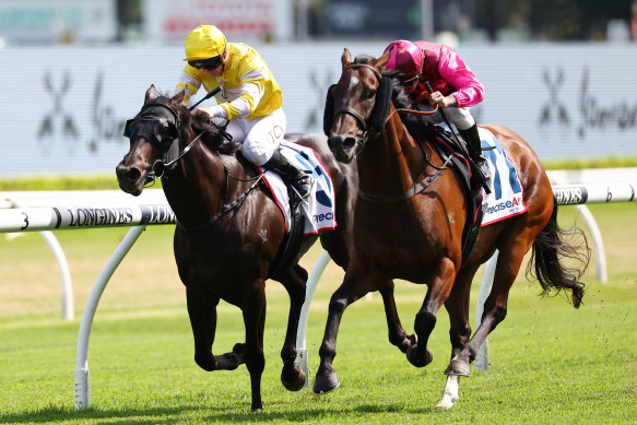 With Your Blessing (yellow silks) wins at Randwick