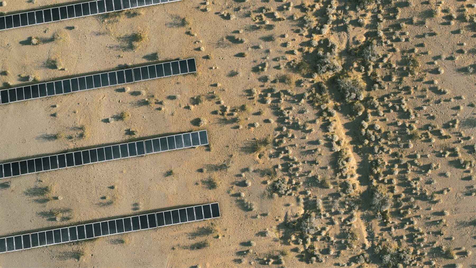 Desert in Nevada