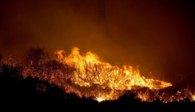 Heatwave fires LIVE: Tourist hotspots including Crete and Turkey suffe | World | News