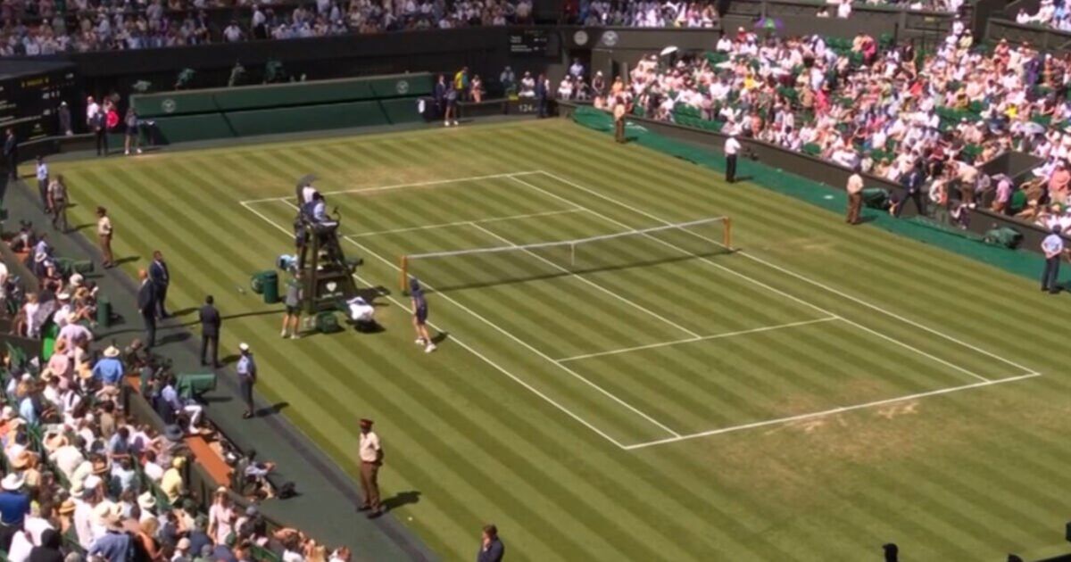 Taylor Fritz vs Alejandro Davidovich Fokina paused for 'distressing' incident at Wimbledon | Tennis | Sport