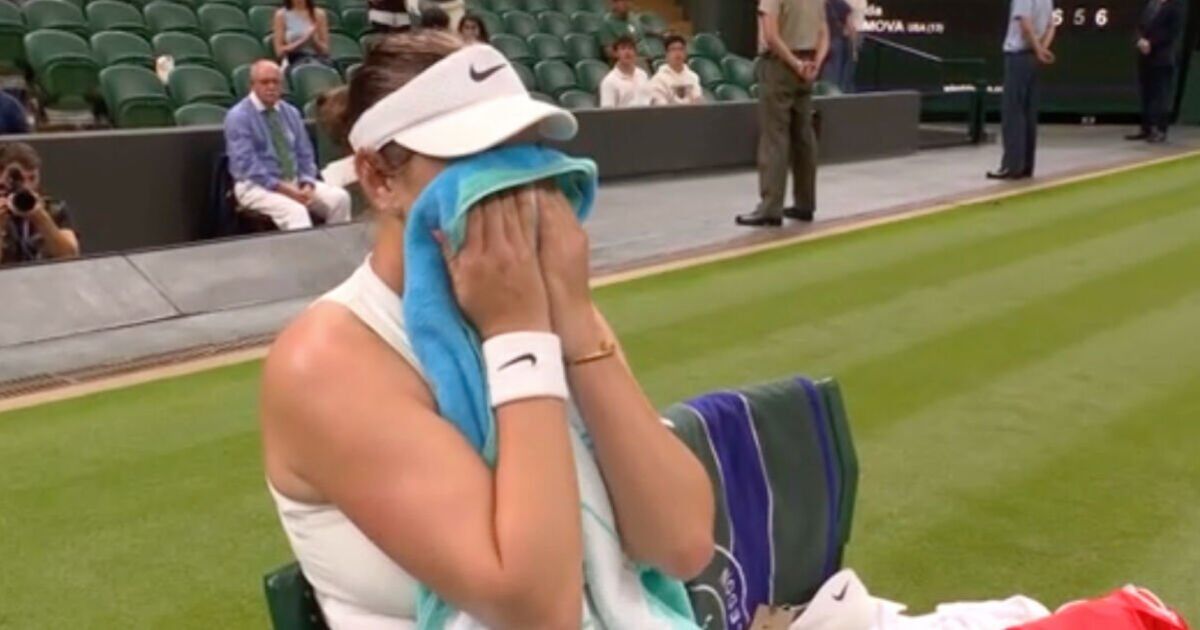 Wimbledon star breaks into tears on court after dropping to world No.442 | Tennis | Sport
