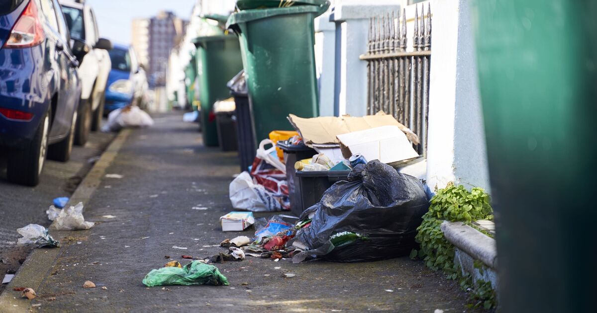 Bin collection rules to change in England - everything you must know | UK | News