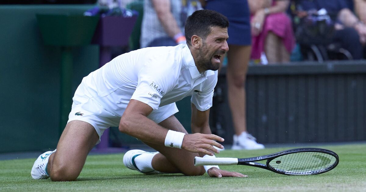 Novak Djokovic makes worrying comment after nasty fall as Wimbledon hopes rocked | Tennis | Sport