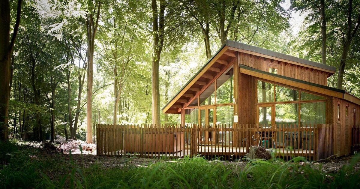 UK's best and worst holiday parks named — Center Parcs and Haven not in top 3 | UK | Travel