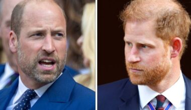 'Dignified' way Prince William responds to 'attacks' spotted by expert | Royal | News