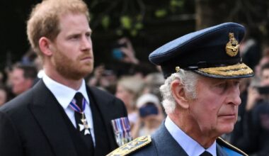 Prince Harry and King Charles peace summit branded a 'stitch-up' for 1 reason | Royal | News