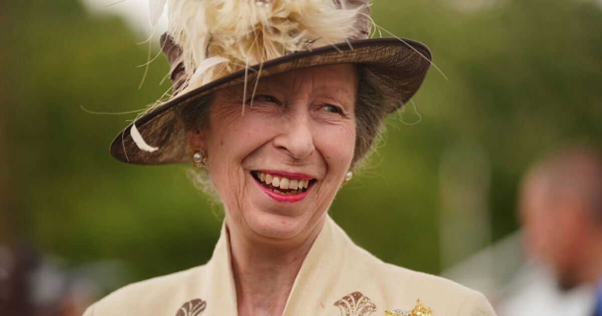 'Real reason' Princess Anne has been criticised by US media explained | Royal | News