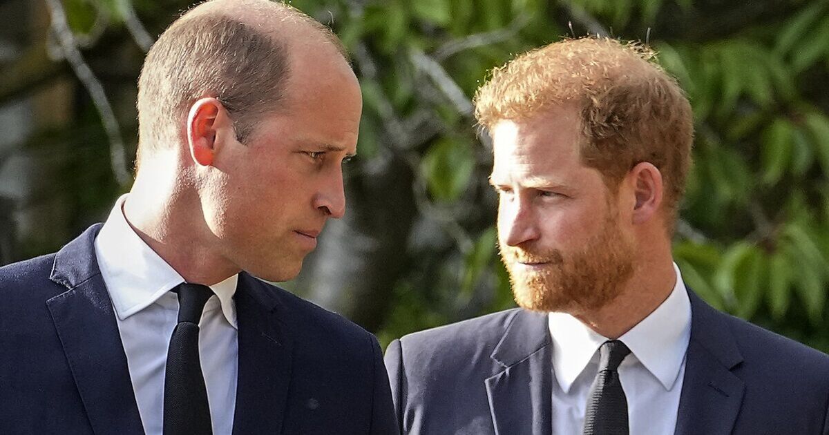 Prince William and Harry's cousin speaks out in defence of Meghan Markle | Royal | News