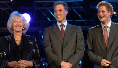 One thing Prince William and Prince Harry have in common with Queen Camilla | Royal | News