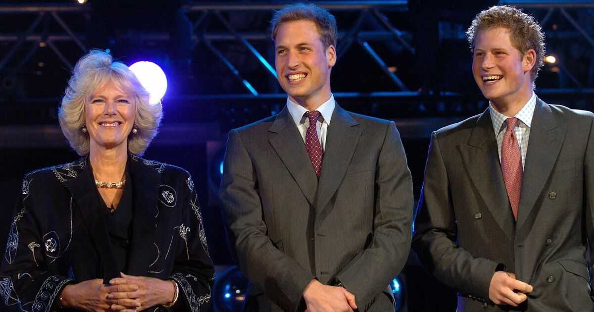 One thing Prince William and Prince Harry have in common with Queen Camilla | Royal | News