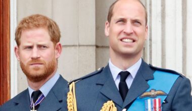 Prince Harry set to be 'snubbed' for role as William due to get honour | Royal | News