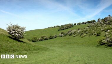 The Yorkshire Wolds made up of green rolling hills.