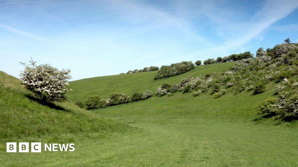 The Yorkshire Wolds made up of green rolling hills.