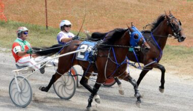 Harness racing at the Clearfield County Fair begins today | Local