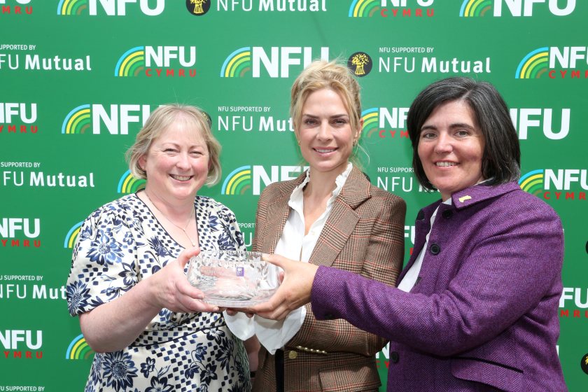 (Photo: Robbie Alman-Wilson, middle)