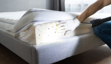 Bed Bug Infestations Surge in France: Essential Protection Tips