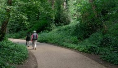 'Japanese Walking' Got Me Closer Than Ever To 10,000 Steps A Day
