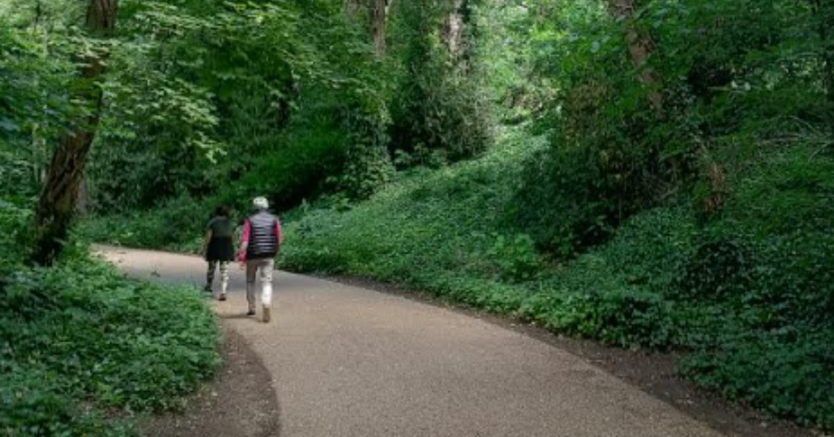 'Japanese Walking' Got Me Closer Than Ever To 10,000 Steps A Day