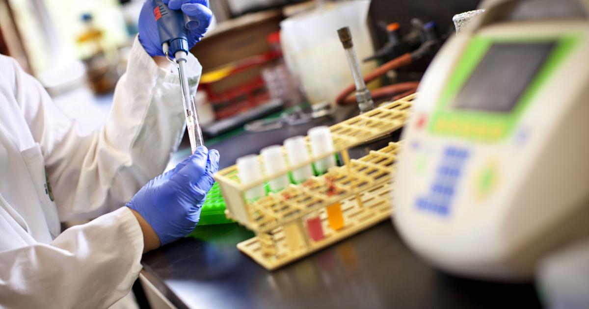 Research, support and early diagnosis crucial for rare chromosome disorders | News