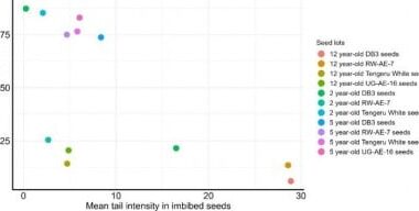 Cracking the Genetic Code of Seed Longevity: New Insights From African Eggplant Storage Study