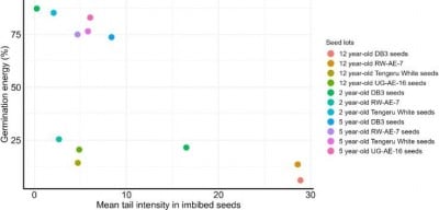 Cracking the Genetic Code of Seed Longevity: New Insights From African Eggplant Storage Study