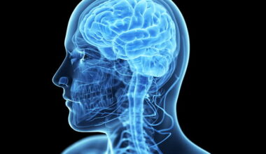 The Brain’s Secret Defense Against Alzheimer's: Mapping Tau Pathways with Genetic Resilience