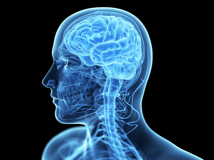 The Brain’s Secret Defense Against Alzheimer's: Mapping Tau Pathways with Genetic Resilience