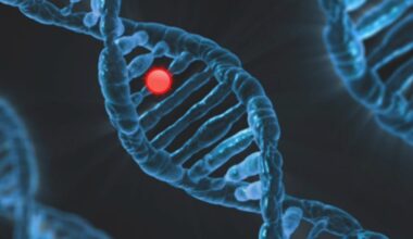 Rewriting Life: The Ethics and Consequences of Gene Editing