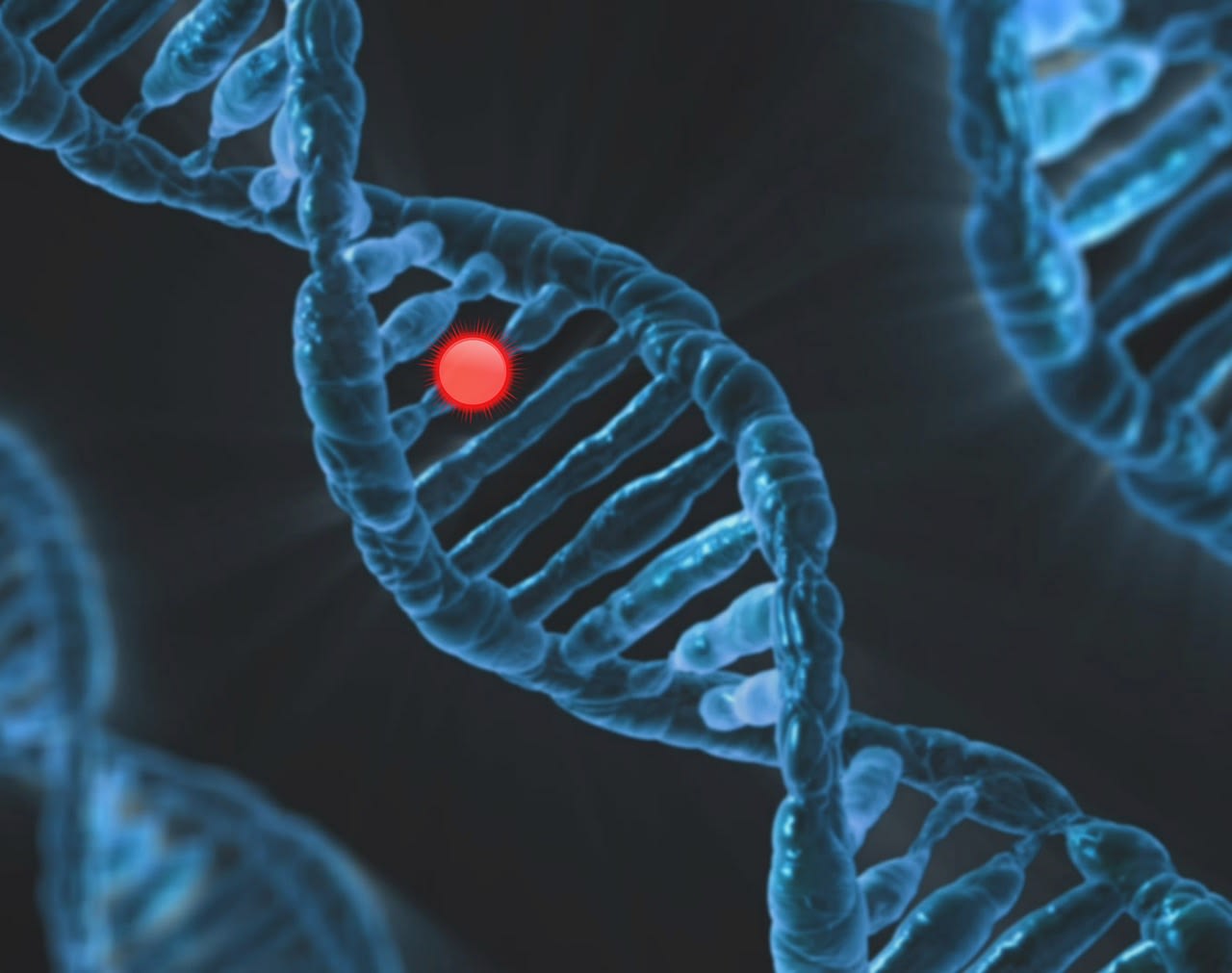 Rewriting Life: The Ethics and Consequences of Gene Editing