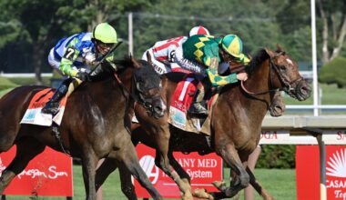 Brown leaning toward Allen Jerkens for Chancer McPatrick | Horse Racing