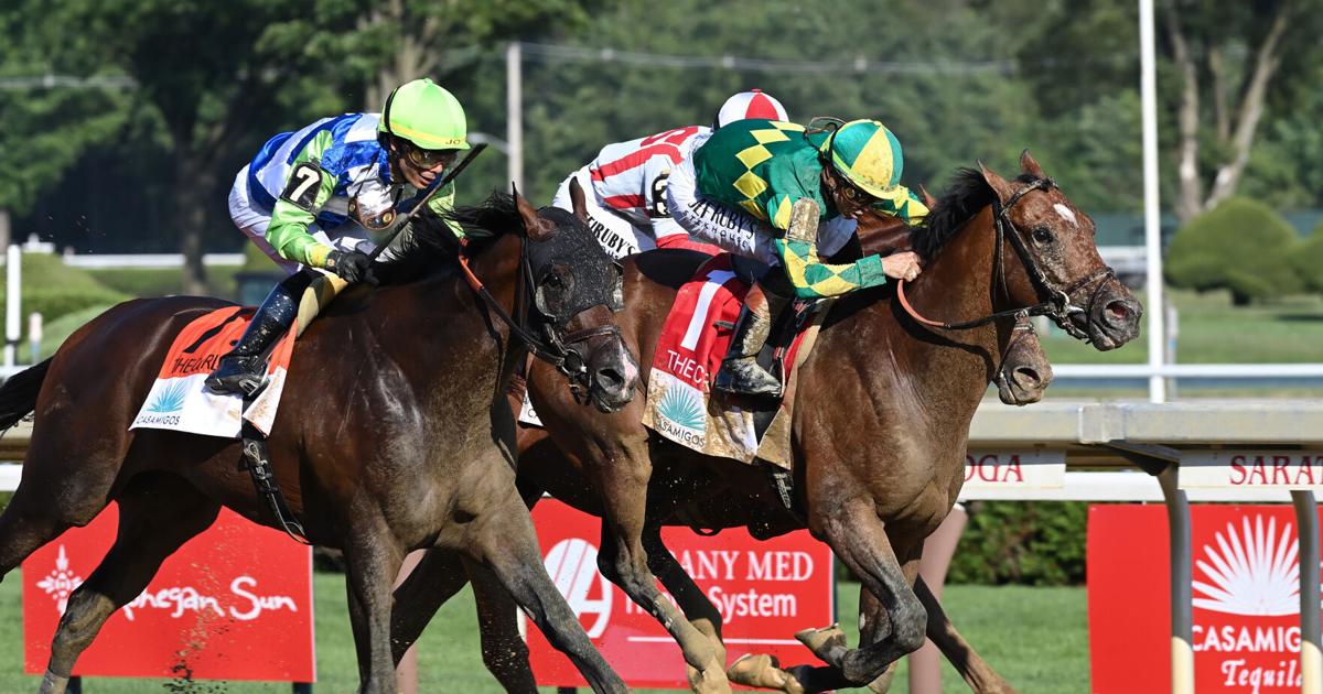 Brown leaning toward Allen Jerkens for Chancer McPatrick | Horse Racing