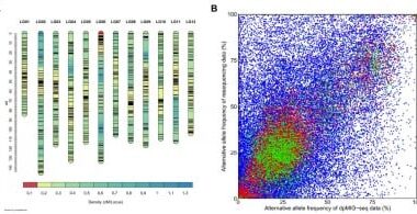 dpMIG-seq: a game-changer in genetic mapping of tetraploid crops