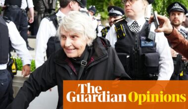 This column does not express support for Palestine Action – here’s why | Owen Jones