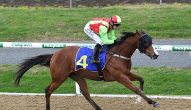 Cleese returning to racing at Arawa Park after nine-month break