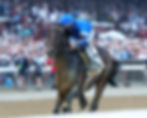 Sovereignty returns to the track where he won the Belmont Stakes / ADAM COGLIANESE / NYRA